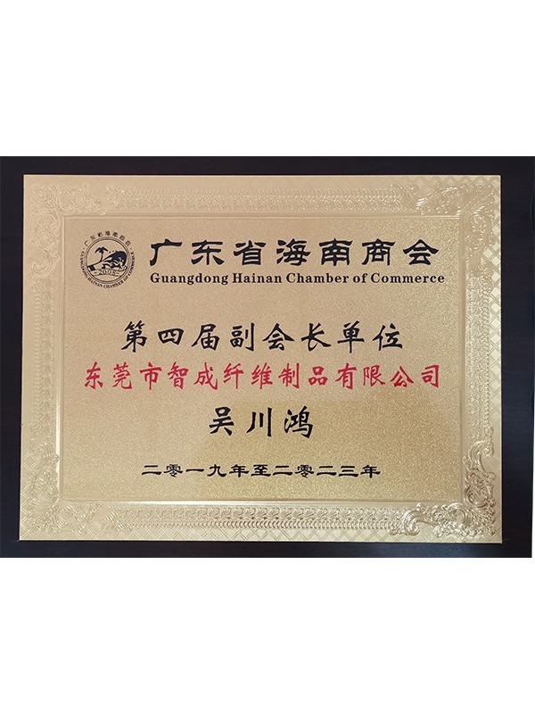 智成纖維總經理廣東省海南商會第四屆副會長單位